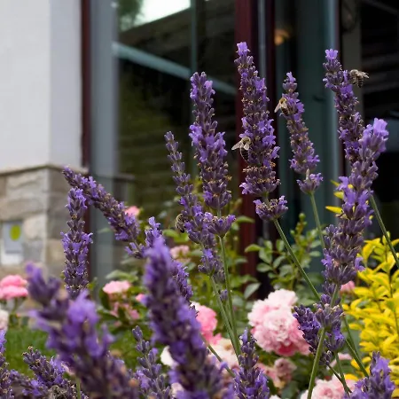 Villa Mountain Hill Luxury *