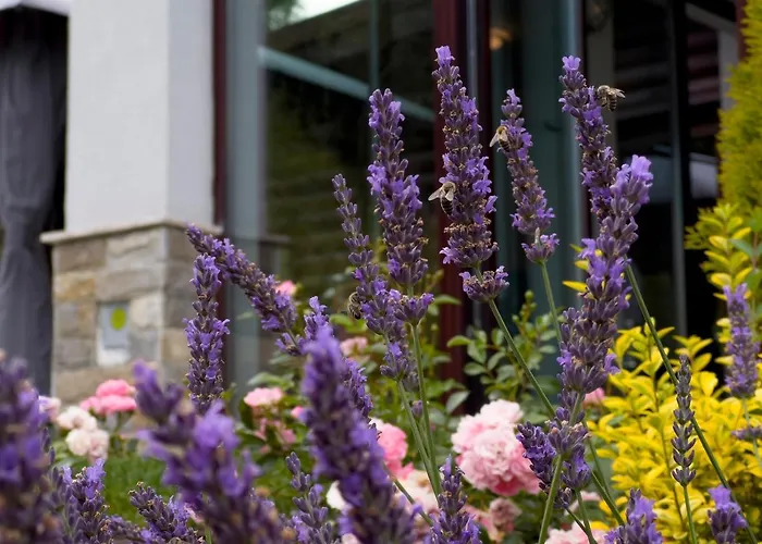 Willa Mountain Hill Luxury *